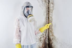 Professional Mold Inspection in Bath, PA